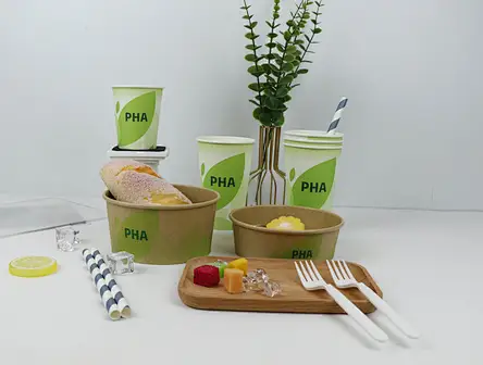 Disposable Paper Salad containers